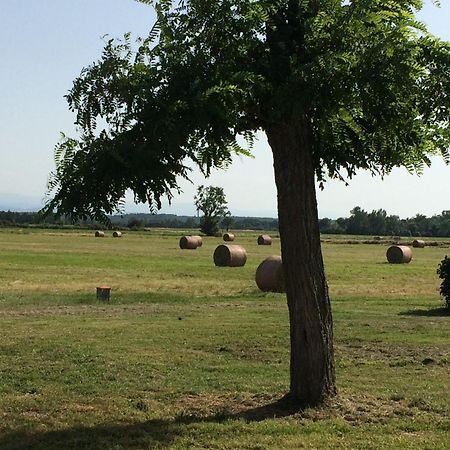 Location Gite 4 Personnes Mazeres - La Petite Maison Εξωτερικό φωτογραφία