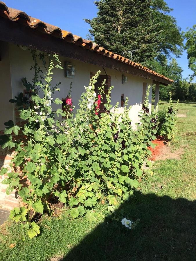 Location Gite 4 Personnes Mazeres - La Petite Maison Εξωτερικό φωτογραφία
