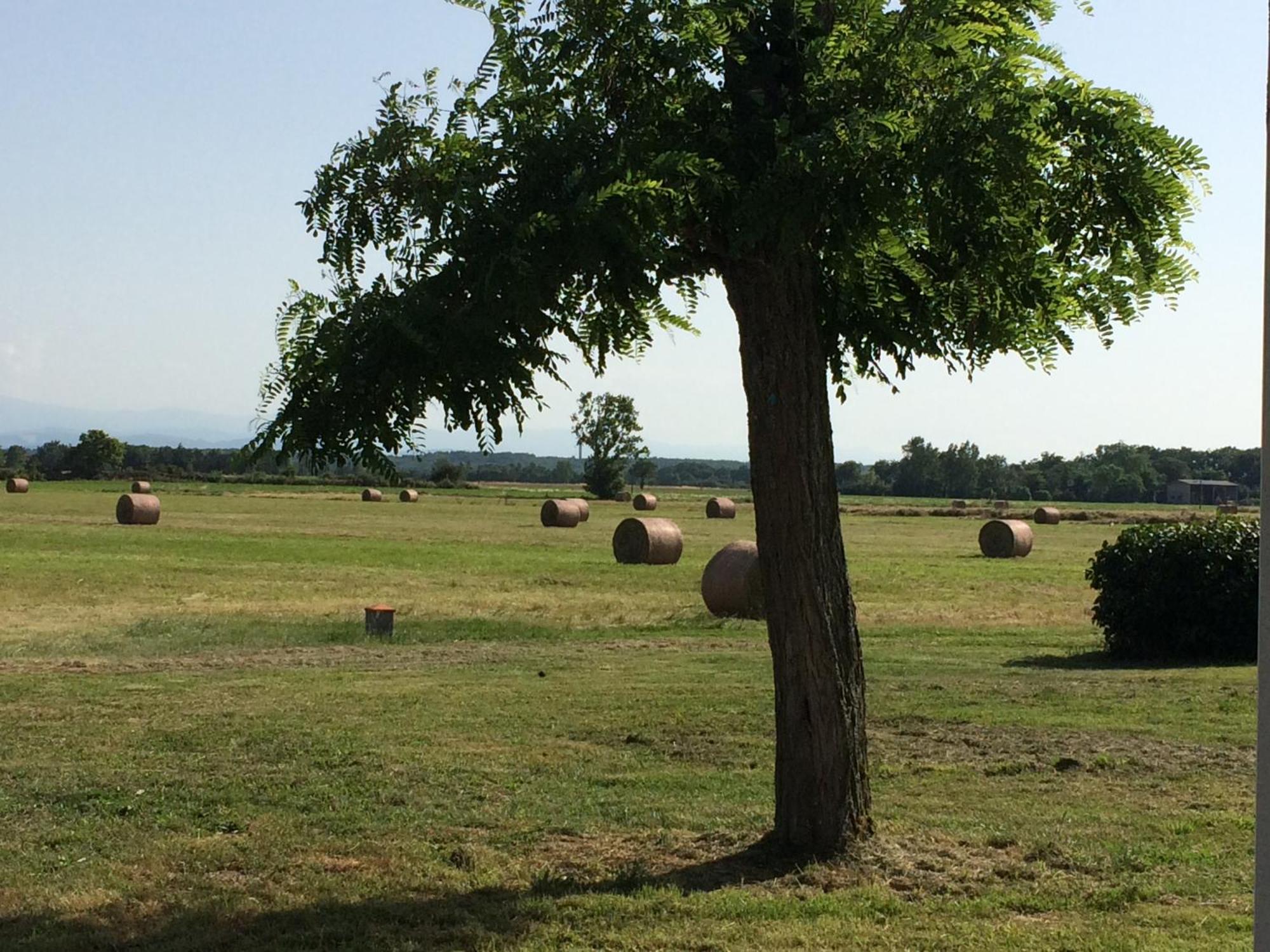 Location Gite 4 Personnes Mazeres - La Petite Maison Εξωτερικό φωτογραφία